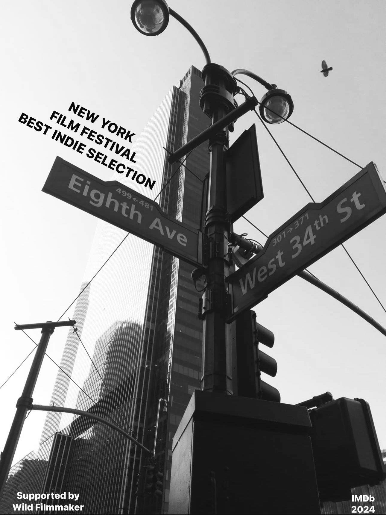 INTERVIEW WINNERS New York Film Festival Best Indie Selection 2024