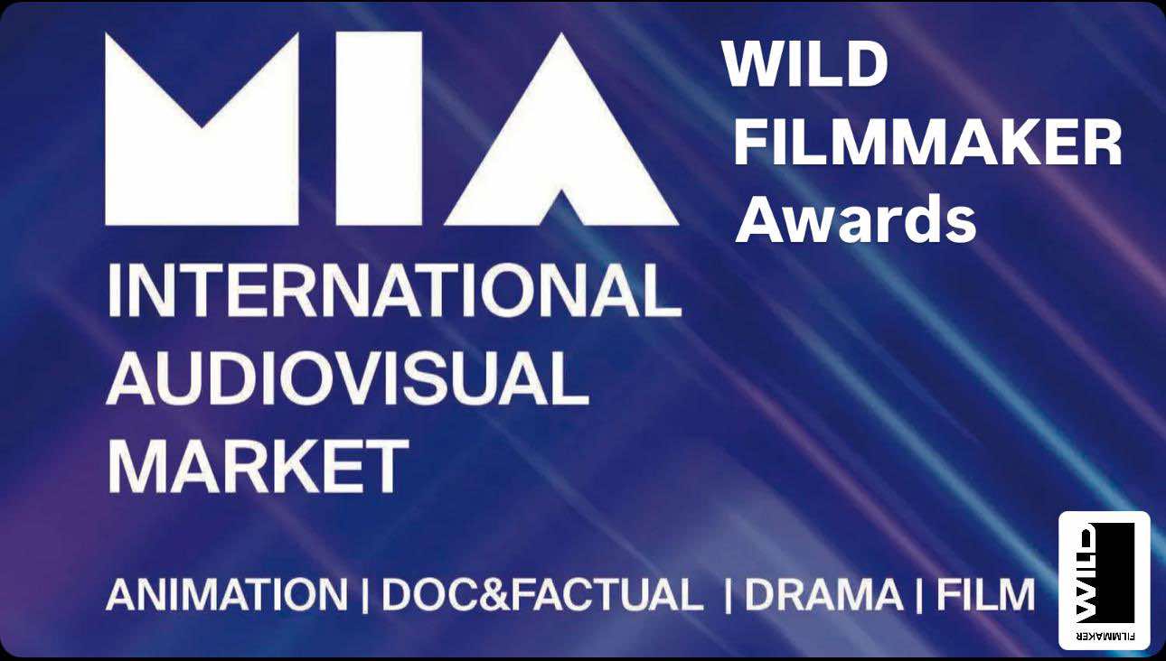 Special Event at MIA, International Audiovisual Market 2024, Rome
