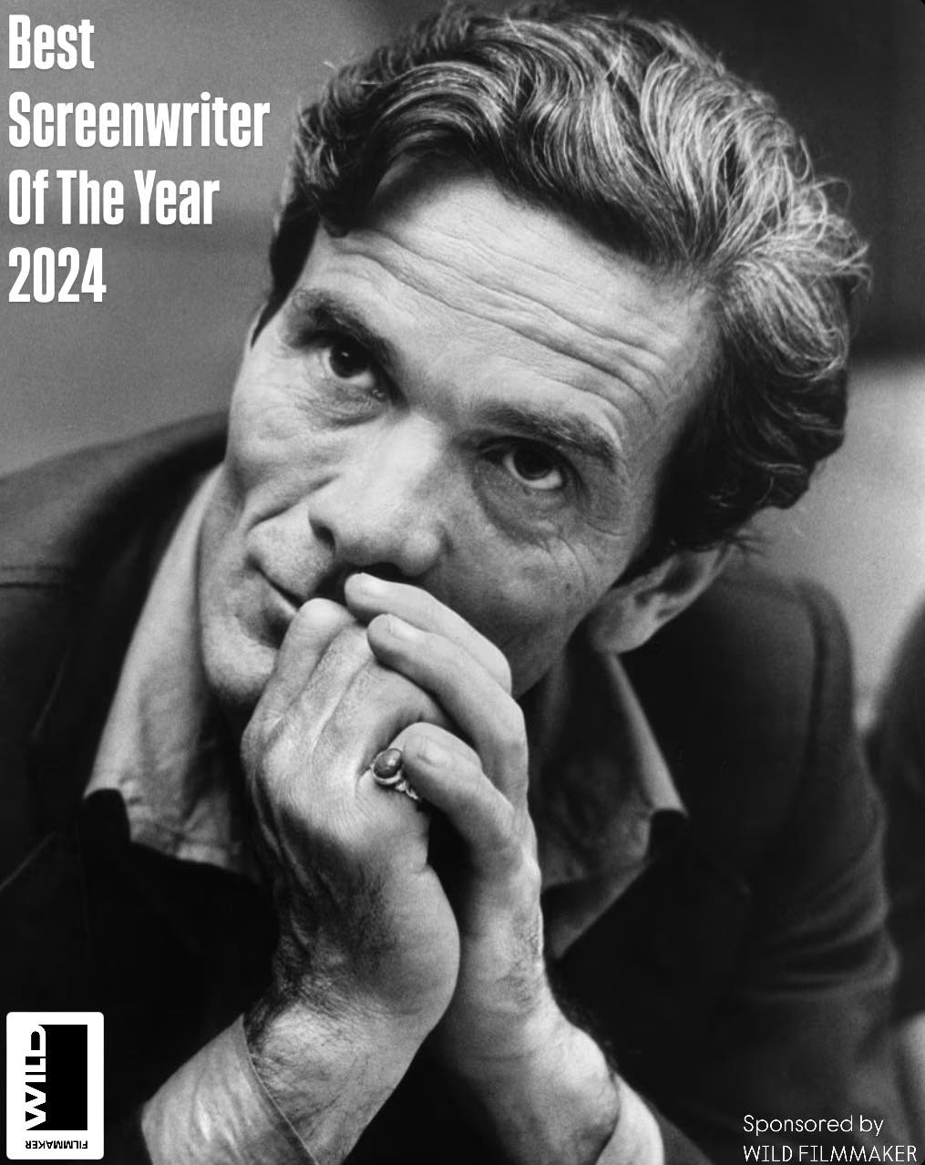 Best Screenwriter of the Year 2024