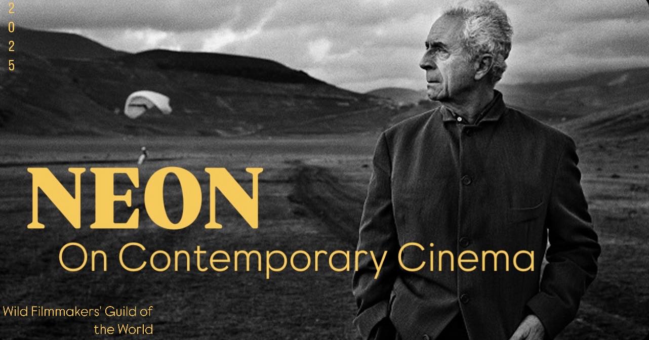 NEON On Contemporary Cinema