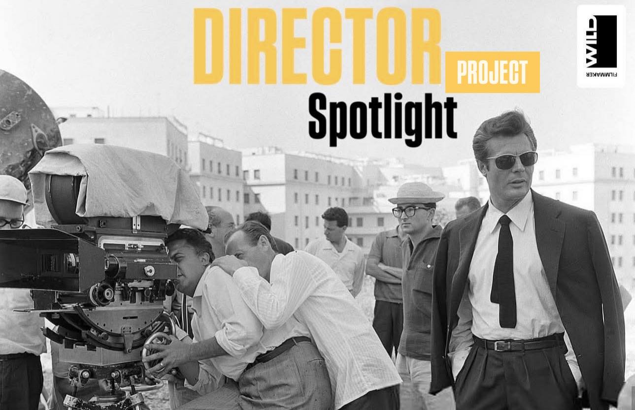 DIRECTOR Spotlight Project