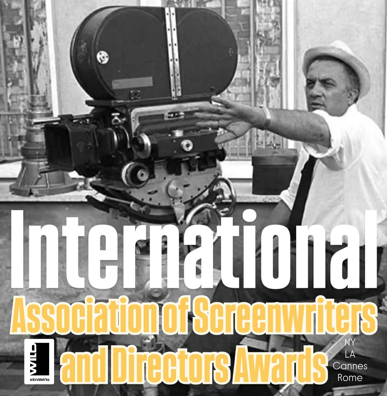International Association of Screenwriters and Directors Awards